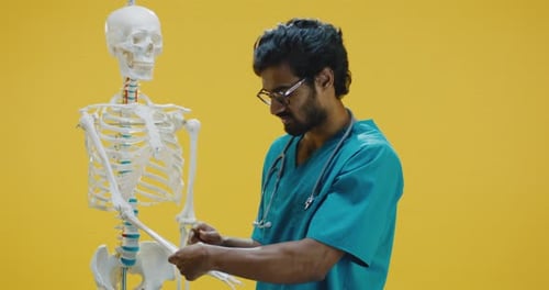 Medical Professional Explains Anatomy with Skeleton Model