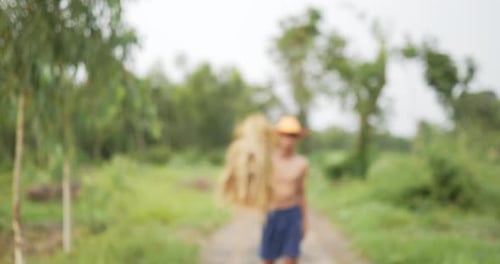 Teen Boy Carries Rice Stalks in Rural Setting
