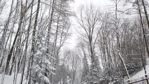 Old Ukrainian traditional vintage village. Elements of architecture.