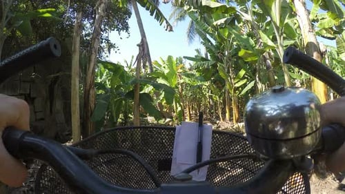 Rural road view during a bicycle ride in Mumbai, timelapse.