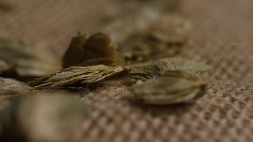 Tiro rotativo de cevada e outros ingredientes de fabricação de cerveja