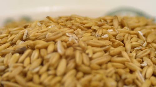 Grains of Raw Oat Groats Rotate on a White Plate Close-up