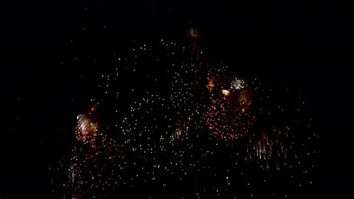 Vibrant Fireworks Bursting in the Night Sky