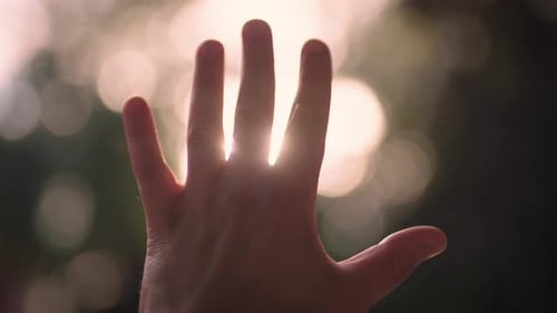 Male Hand Close Up