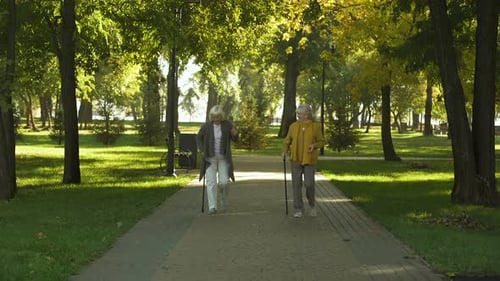 Two Happy Senior Women Walking in Park, Nursing Home for Elderly People, Leisure