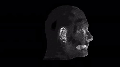 Digital Wireframe Human Head Rotating Loop for Technology Projects
