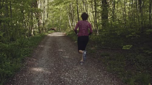 Fit and Healthy Woman with Curly Hair Taking a Morning Jog in the Forest