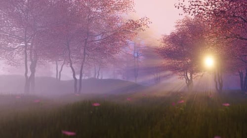 Spring Forest Mistic