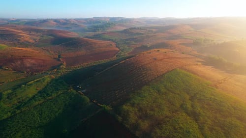 4K : Aerial view flight over the beautiful field in sunset. Countryside scenery.