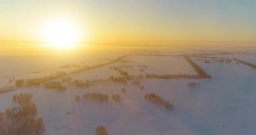 Aerial Drone View of Cold Winter Landscape with Arctic Field Trees Covered with Frost Snow and