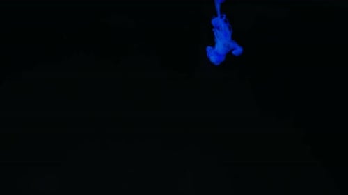 Blue and Yellow Inks Dropping into Black Liquid