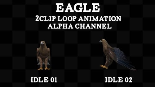 Eagle 2 Clip-Schlaufe