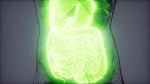 A 3D medical illustration showing a human stomach with a glowing blue aura representing the GLP-1 hormone effect, showing foo