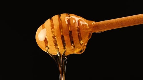 Honey Wooden Dipper on Black Background