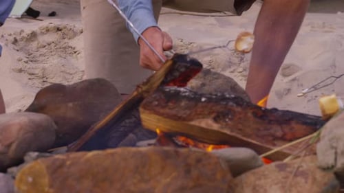 Group of friends at beach roasting marshmallows on fire, closeup