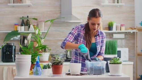 Woman Planting House Plants in Kitchen