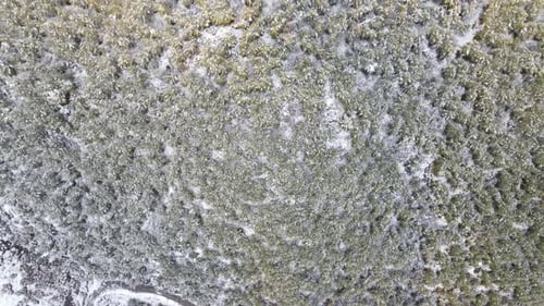 Winter Forest High Mountains Aerial View