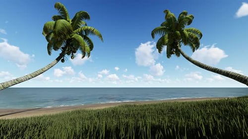 Palm Trees On The Beach