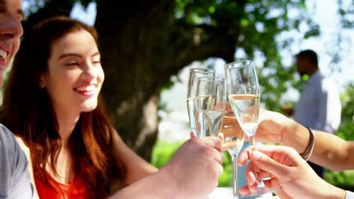 Friends Toasting Champagne Flutes at Outdoor Wedding