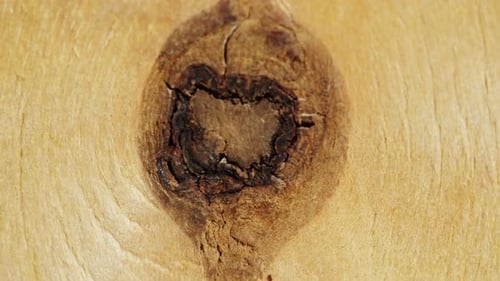 Wood Timber Construction Material for Background and Texture in Shop