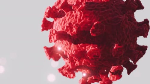 Microscopic View of a Infectious Virus Corona COVID19