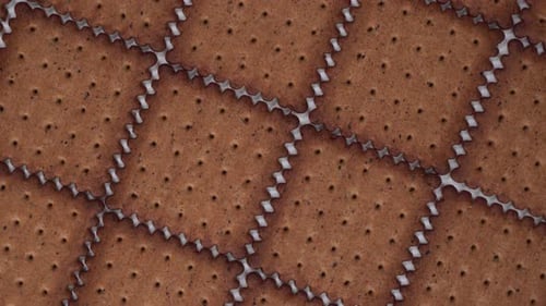 Top Down View Mozaik of Cracker Rotate or Spin on the Table. Sweet Cookies Lay on Table.