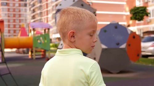 Portrait of a Little Boy on the Playground in the Courtyard