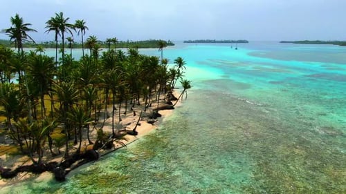 Caribbean White Unspoiled Sandy Beach