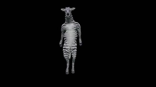Funny Dancing Zebra Character Animation Loop