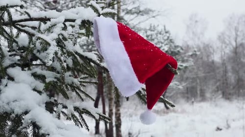 Santa Hat Hanging from Snowy Evergreen Branch