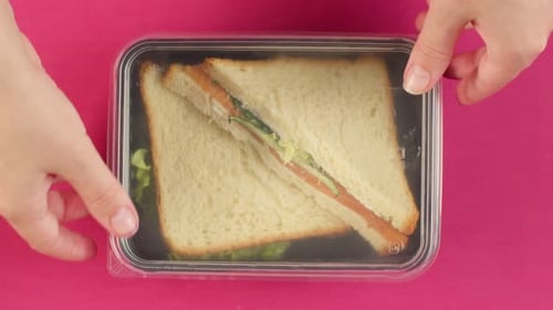 Hands Closing a Sandwich Food Container Overhead