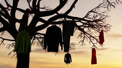 Clothes Drying on Bare Tree Branches at Sunset