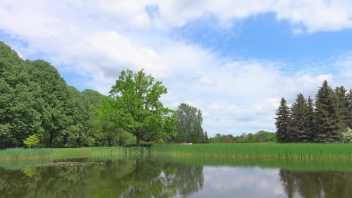 Park & Pond