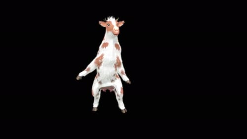 Animated Cow Balancing in Yoga Pose