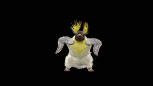 Penguin Dancing HD