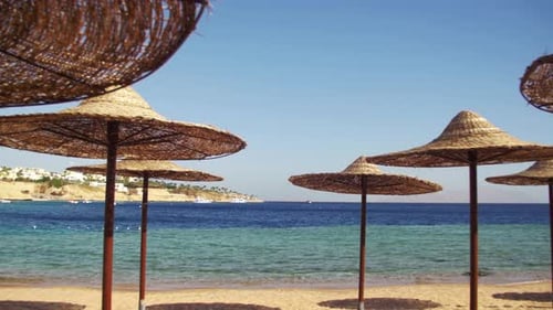 Egypt, Empty Sunny Beach with Umbrellas, Sun Beds on the Red Sea