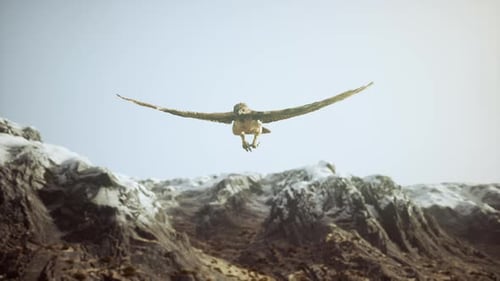 Majestic Eagle Soaring Over Snowy Mountains