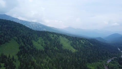 Aerial Footage of Coniferous Forest Trees on the Mountain Hills.
