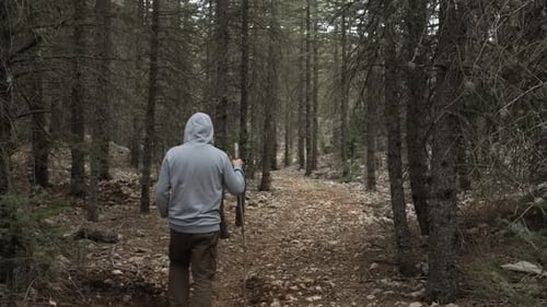 Mann erkundet den Wald