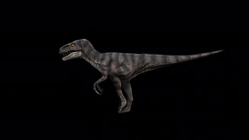 4K Velociraptor Walk