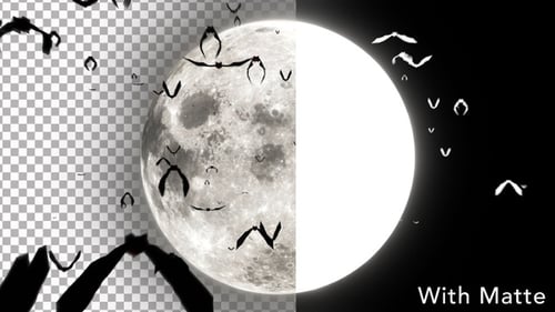 Halloween Flying Bats Around Full Moon Loop Animation