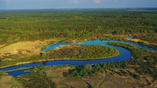 Aerial View Forest Woods And Curved River Landscape In Sunny Spring Day