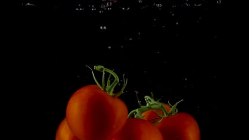 Des tomates rouges tombent et flottent dans l'eau Fond noir au Ralenti