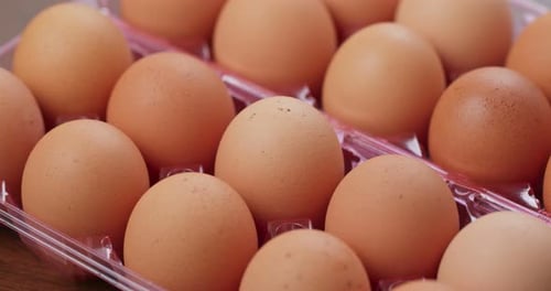 Brown Eggs Filling Tray for Cooking or Baking