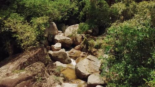 Tropical Scenery of Mountain River Jungle with Water Flowing Through Rocks.