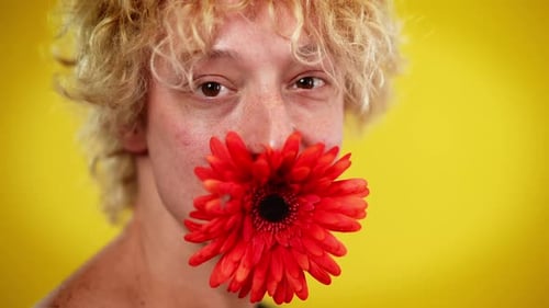 Person Holds a Red Daisy in Front of Mouth