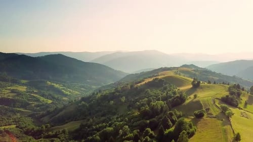 Aerial View of the Endless Lush Pastures of the Carpathian Expanses and Agricultural Land