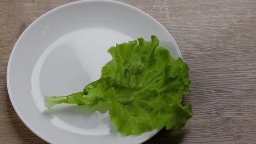 Delicious Food is Poured Into the Plate