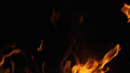 Bonfire Burning at Night. Flames of Campfire at Nature. Slow Motion 240 Fps