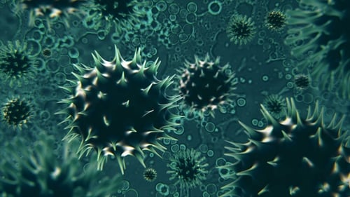 Seamless Looping Animation of Microscopic Viruses and Cells